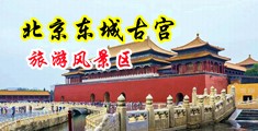 大鸡巴大屄闪光凸轮暴露狂中国北京-东城古宫旅游风景区